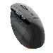 Acer Easy Fit Mouse - Black, Wireless RF 2.4GHz + BT (2x) + USB