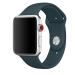 Apple Watch 42mm Dark Teal Sport Band - S/M & M/L