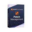 Avast Business Patch Management (100-249) na 1 rok
