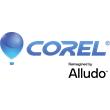 CorelDRAW Graphics Suite 2026 Business Perpetual License (incl. 1 Yr CorelSure Maintenance)(251+)