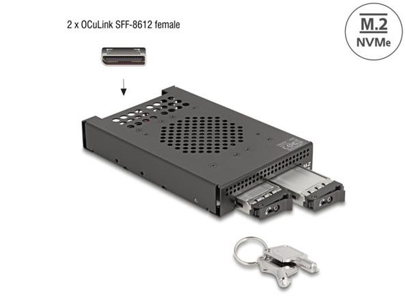 Delock 3.5” Mobilní rack pro 2 x SSD M.2 NVMe s konektorem OcuLink SFF-8612