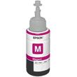 EPSON container T6643 magenta ink (70ml - L100/200/210/300/130/355/365/455/550/1300)