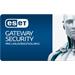 ESET Gateway Security pre Linux/BSD 11 - 25 PC + 2 ročný update