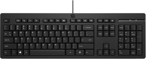 HP 125 G2 USB Wired Keyboard CZECH-SK