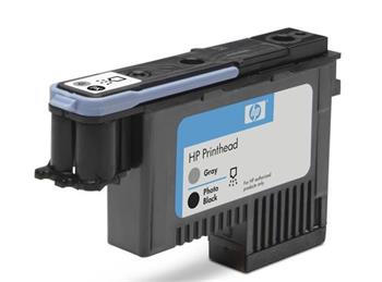 HP Printhead 72/Photo Black and Grey