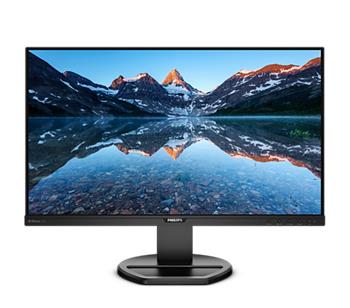 Philips LCD 252B9 25" 16:10 IPS/1920x1200@60Hz/5ms/300cd/VGA/DVI/HDMI/DP/4xUSB/Repro/Pivot/HAS/VESA