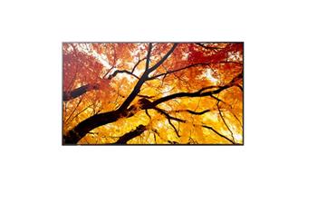Sharp 32" MultiSync M322 - 24/7, 450 cd, VA LED, 1920 x 1080, 16:9, 8ms, 4000:1, DP, 2x HDMI, če