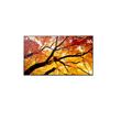 Sharp 75" MultiSync M752- 24/7, 550 cd, IPS LED, 3840x2160, 16:9, 8ms, 8000:1, DP, 2x HDMI, USB